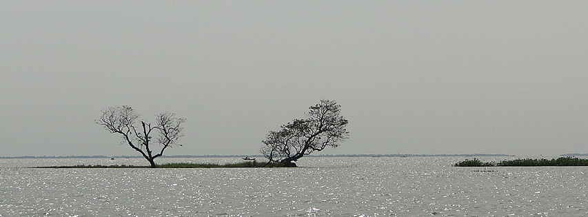 হাওর