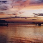 800px-Homeward_bound