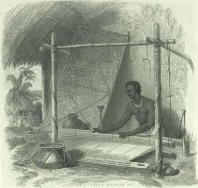 Zonadagi erkak jinsi