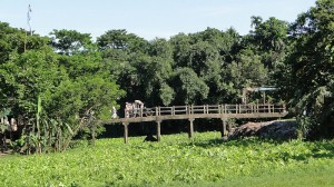 norsunda