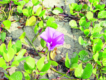 Vitalka jinsiy aloqa video