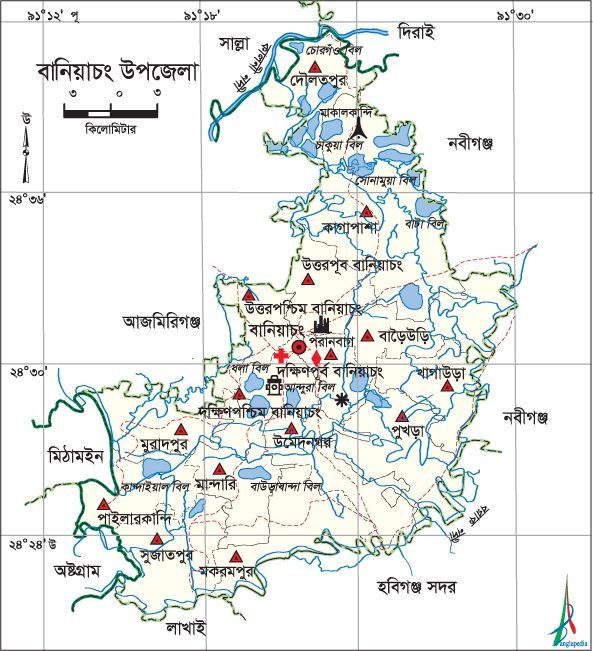 BanichangUpazila