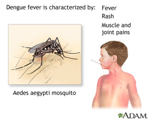 dengue_fever